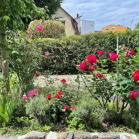 Fewo Apartment Lake Of Constance Фридрихсхафен Экстерьер фото