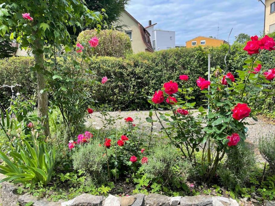 Fewo Apartment Lake Of Constance Фридрихсхафен Экстерьер фото